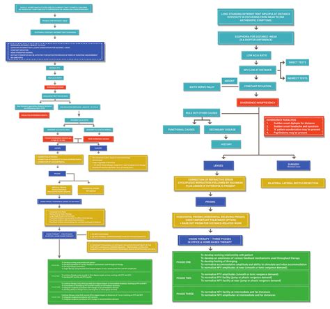 Flowchart Showing Algorithmic Approach To Diagnosis And Management Of