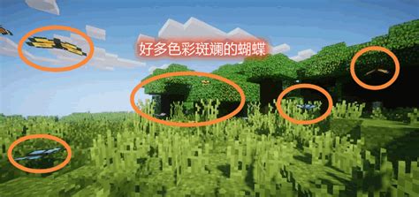 熟悉的动物 Familiar Fauna Mod 我的世界 Mc世界侠