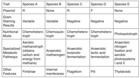 Pomarico Mastering Biology Ch 27 Flashcards Quizlet