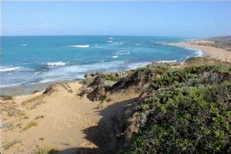 Three Mile Bend Camp Beachport Conservation Park | Park, Conservation ...