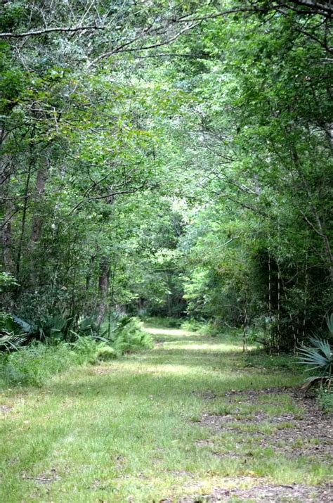 Bayou Teche National Wildlife Refuge – BAYOU WOMAN