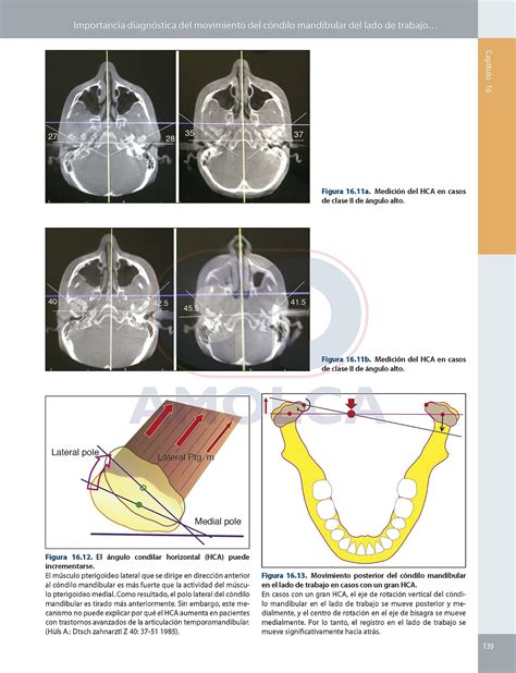 Diagn Stico De La Funci N Y Disfunci N Craneomandibular Mediante La