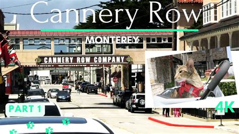 Daisys Diary Part 1 Cannery Row In Monterey Downtown Walking Tour