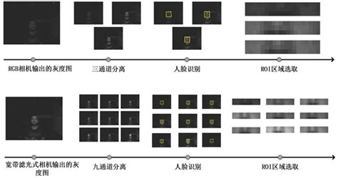 基于多光谱成像技术的非接触式心率检测研究