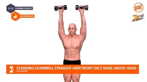 Shoulder Standing Dumbbell Straight Arm Front Delt Raise Above Head
