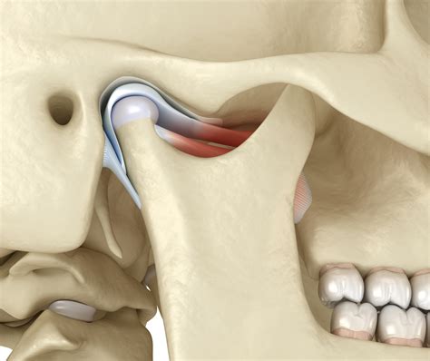 TMJ TMD Faces Physiotherapy