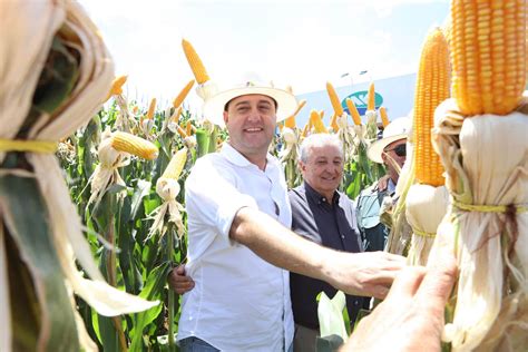 Apoio Do Estado Produtores Do Oeste T M Acesso A Cr Dito Para