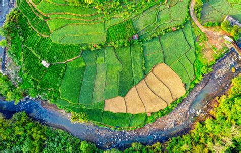 Estratégias de Conservação do Solo e da Água Wikifarmer