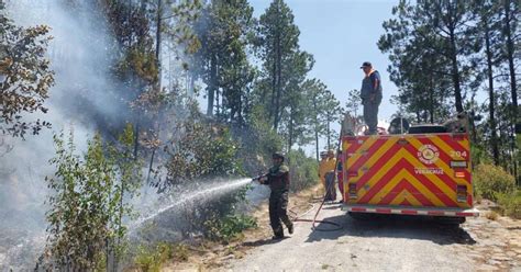 Gobierno Veracruz Proh Be Quemas Agropecuarias Por Incendios Forestales