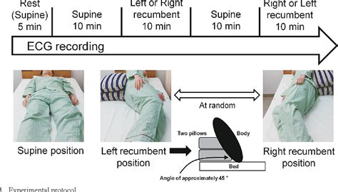 [PDF] Left Recumbent Position Decreases Heart Rate without Alterations ...