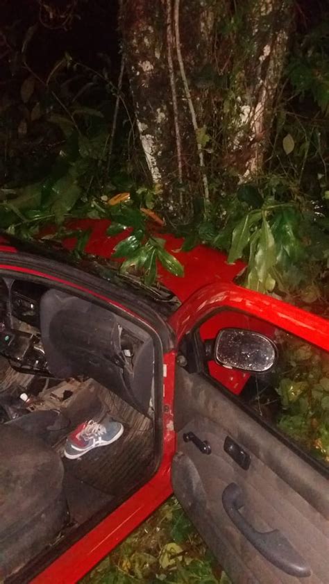 Motorista Morre Após Perder O Controle E Bater Contra árvore Em Sp