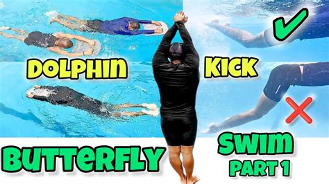 butterfly swimming series part  dolphin kick swimming tips