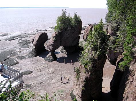 Hopewell Rocks Hopewell Cape All You Need To Know Before You Go