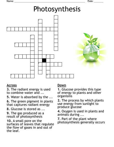 Care About The Environment Word Search WordMint