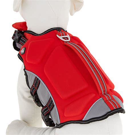 Arcadia Trail Dog Gear Buying Guide Only Natural Pet