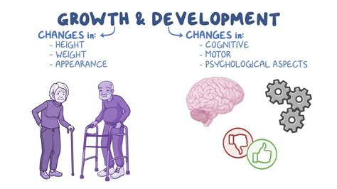 Video Growth And Development Theories Nursing