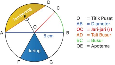 Gambarlah Sebuah Lingkaran Beserta Bagian Bagianny
