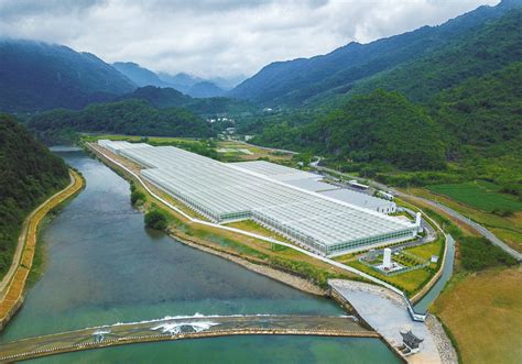 石台现代农业科技示范园变身“智能植物工厂” 池州日报