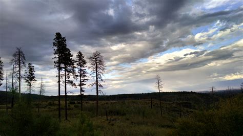 Free Images Landscape Tree Nature Grass Horizon Mountain Cloud