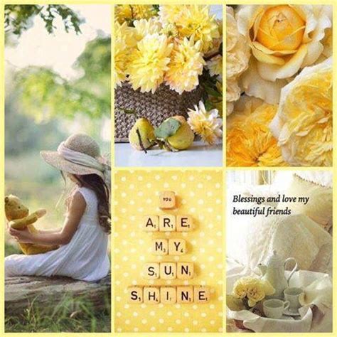 A Collage Of Photos With Yellow Flowers And Words That Say Are My Sun