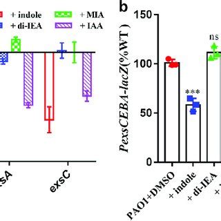 Effects Of Indole And Indole Derivatives On The T Ss System Of P