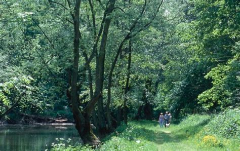 forêt royale de Sénart randonnée 77127 Sénart