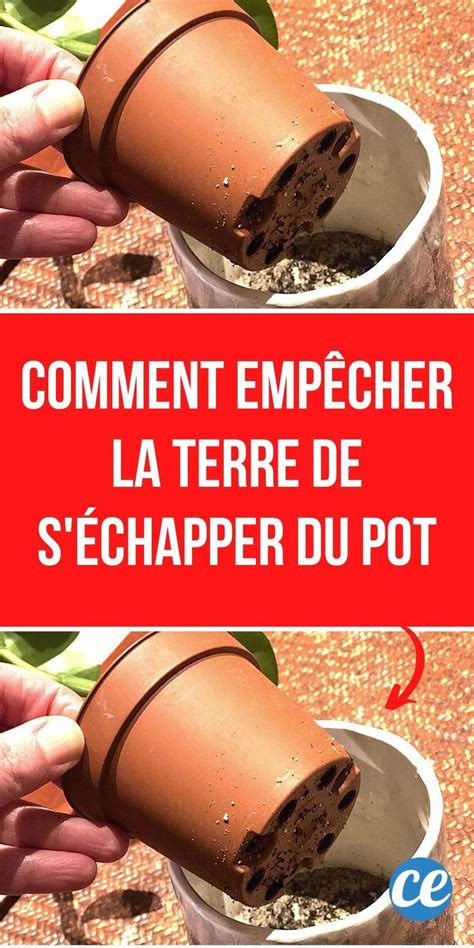 Arrosage Des Pots De Fleurs Comment Emp Cher La Terre De S Chapper