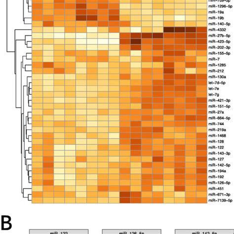 Differential Expression Of Mirna Between The Nucleus And Cytoplasm In