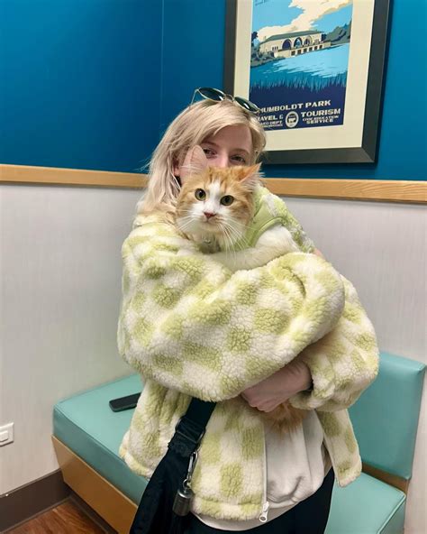Generic Appointment — BLVD Vet Chicago | Logan Square, River North