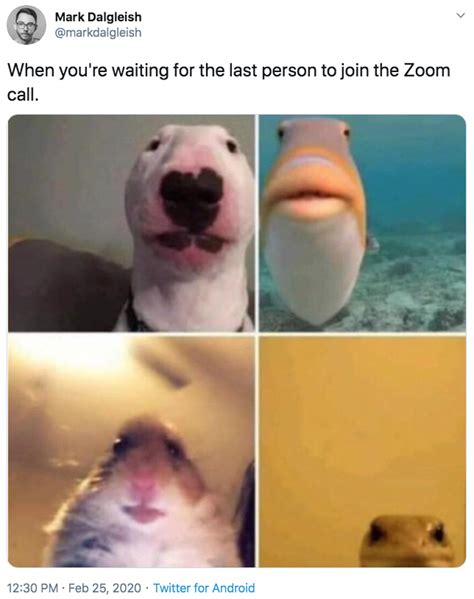 When you're waiting for the last person to join the Zoom call ...