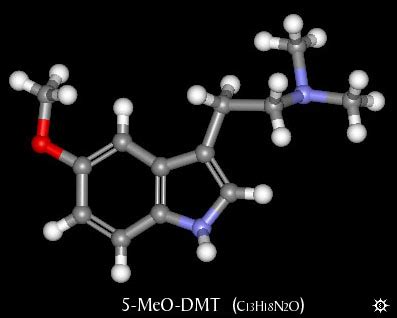 X Quest Daily: DMT - Is It Really The Spirit Molecule?