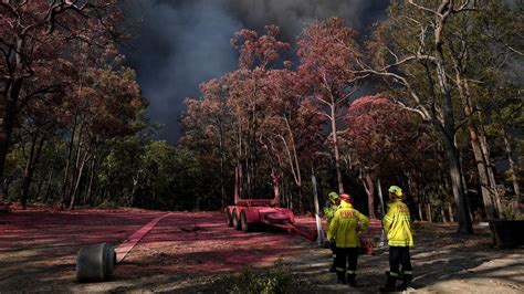 Nsw Bushfires Police Suspect Man Started Fire To Protect Cannabis