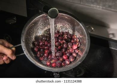 620 Colander Time Images Stock Photos Vectors Shutterstock