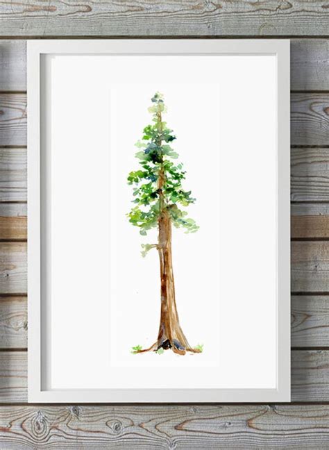 Sequoia Tree Art Watercolor Painting Of A Giant Redwood Tree Etsy