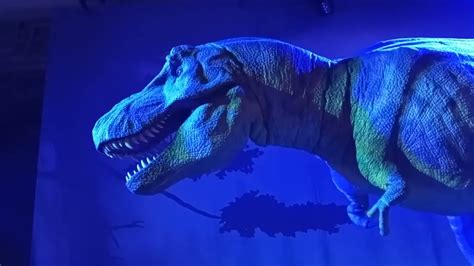 Tyrannosaurus Rex At The Natural History Museum Youtube