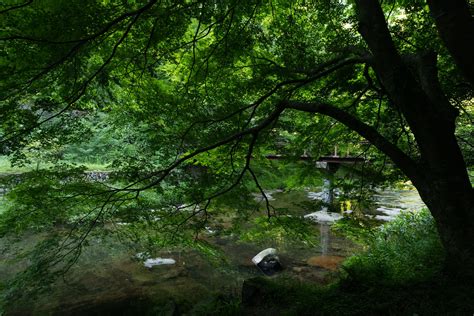 開放でも周辺までシャープな大三元広角ズーム SIGMA14 24mm F2 8 DG DN Art レビュー toshiboo s