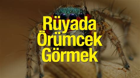 R Yada R Mcek G Rmek Ne Demek Gece R Yada Siyah R Mcek G Rmek K T