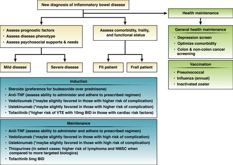 Aga Clinical Practice Update On Management Of Inflammatory Bowel