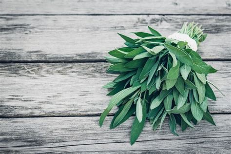 Premium Photo Salvia Officinalis Sage Leaves On Old Wooden Table