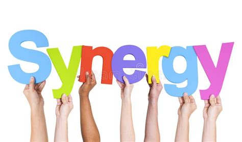 Multiethnic Hands Holding Text Synergy Stock Photo Image Of