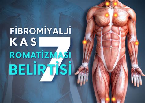 Fibromiyalji Nedir Belirtileri Nedenleri Ve Tedavisi Nas Ld R Turan