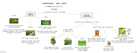 Paradiso Delle Mappe Classificazione Delle Piante