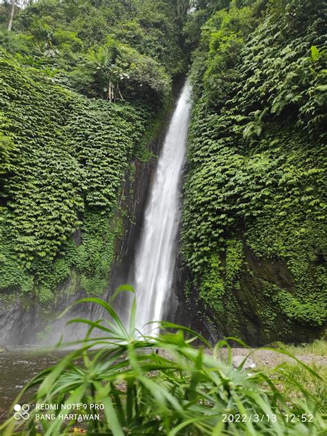 Air Terjun Munduk Tujuan Wisata P R Qw Munduk Kabupaten Buleleng