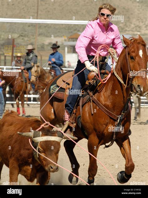 Team Roping, Tie-Down Roping, Calf Roping, Horse, Horses Stock Photo - Alamy