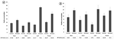 Drought Induced Accumulation Of Proline In Different Tissues Of A