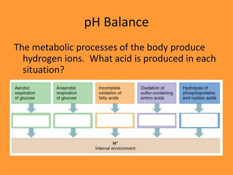 Ppt Water Electrolyte And Ph Balance Powerpoint Presentation Free Download Id 5498105