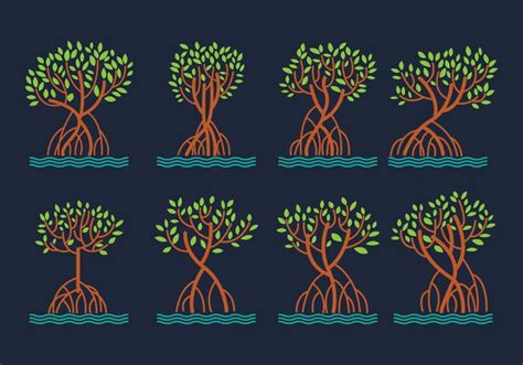 Mangrove Vector Pack 129008 Vector Art at Vecteezy