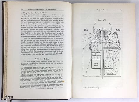 Lehrbuch Der Physikalischen Biologischen Und Klinischen Grundlagen Zur