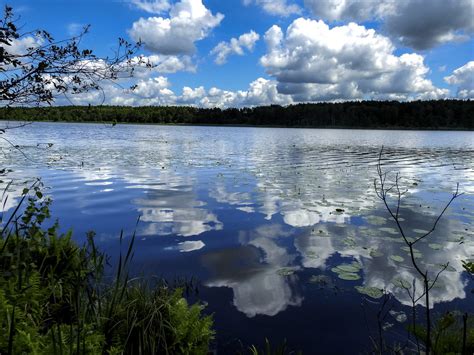 Rezerwat Trzy Jeziora Sobiborski Park Krajobrazowy Flickr