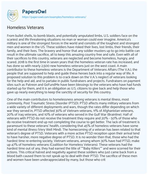 Homeless Veterans Free Essay Example 1023 Words